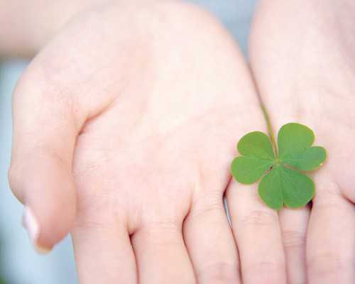 香港验血怀孕多久测出来_从深圳到香港验血准不准_验血查性别有什么需要注意