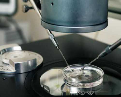 深圳古玩拍卖公司排名_男人减肥应从腹部开始