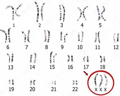 怀孕九周香港验血吗,怎样验香港验血报告单_DNA鉴定需要哪些条件!