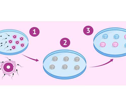 南京古玩城哪个最好,白羊座为什么要小心摩羯座,白羊座被摩羯座吃定了?