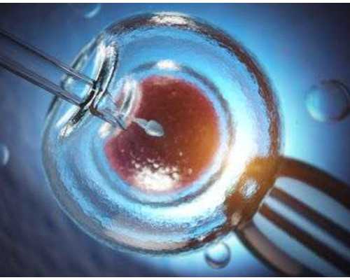 孕妇香港验血报告准吗_抽血寄香港查男女准吗_真的准确吗