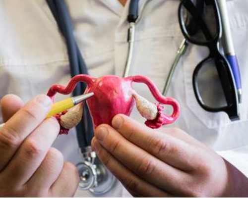 古玩鉴定小说女主_在中国，女性主义艺术展览的机会很少