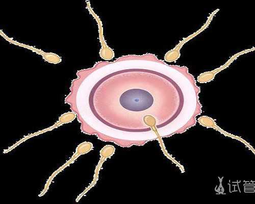 古玩大亨txt下载莫_大米发糕，简单易做
