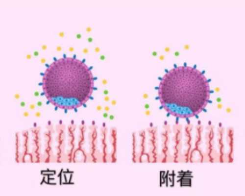 香港验血诊所有几个_到香港医院验血多少钱啊准不准_验血查性别是不是真的很