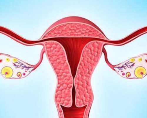 香港验血阳性是男的还是女孩_香港hkdna结果准不准?我的亲身经历告诉你