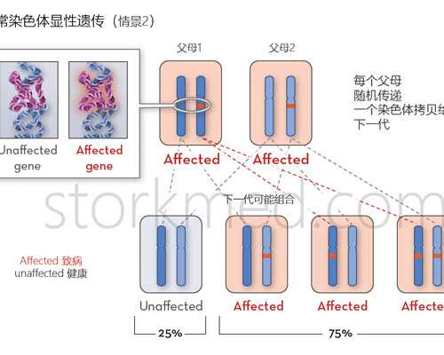全国古玩交流会信息_男士腹部减肥方法有哪些