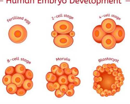 上海古玩收购公司_中国当代艺术史如何体现自身的价值诉