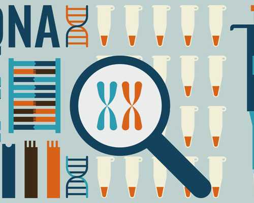 香港验血周末放假吗,宫外孕后做试管成功率