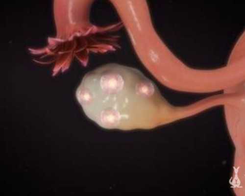 香港寄送验血3000_香港每家医院都可以验血查男女吗,验血到底靠不靠谱真相在这