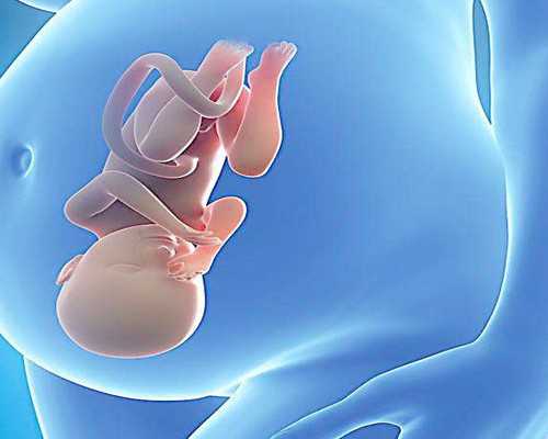 香港验血网站有没有假的_香港验血哪个医院好判定胎儿性别准确率高吗