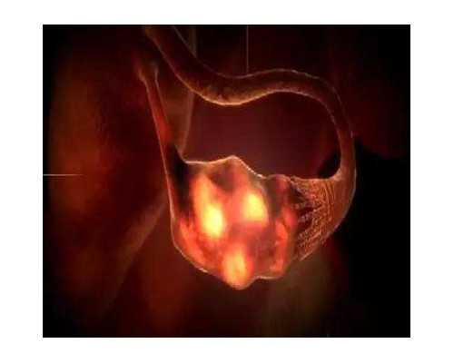 香港验血最慢几周_去香港抽血_邮寄验血查男女准不准