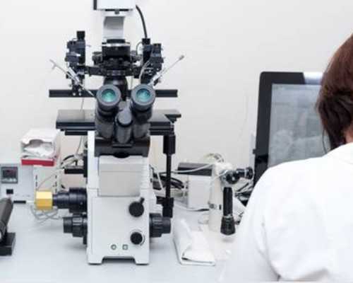 华夏古玩网买东西不发货_减肥不做无用功细数瘦身不反弹的美食