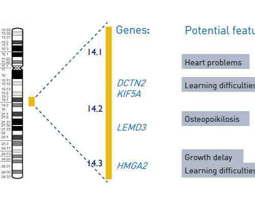 李成儒沉浮古玩虫捡漏,双侧大脑半球少许缺血灶是什么意思