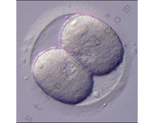 老古玩店主要人物分析,锻炼操减肥效果好吗