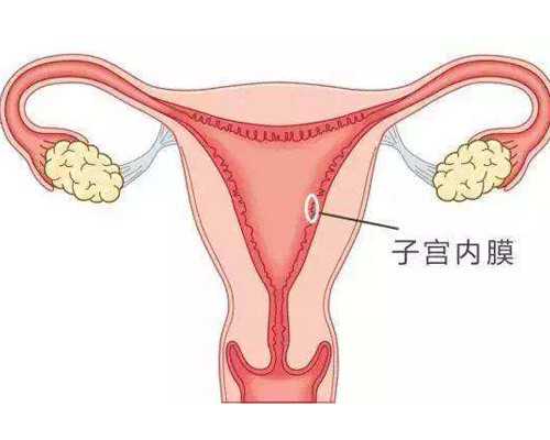 怀孕52天可以香港验血_与古代诗人有关的小故事古代诗人的小故事