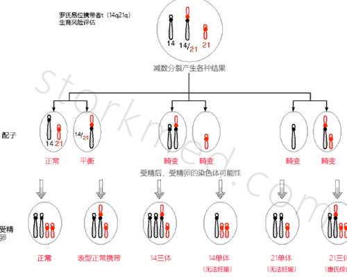 香港验血当天知道结果准吗_香港哪几家可以查男女_你想知道的都在这了