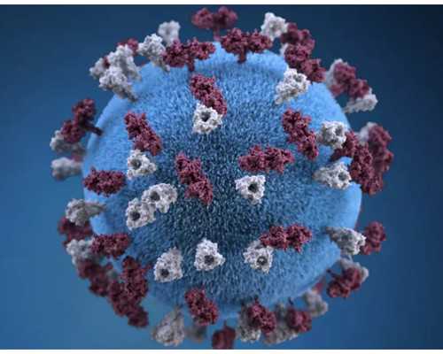 孕45天香港验血_查血邮寄香港验男女需要几天_分享我的亲身经历!