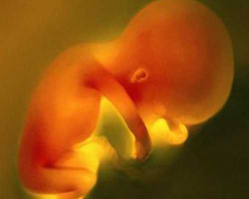 古玩界的黑话_《听琴图》中，末路王朝的君臣互粉模式