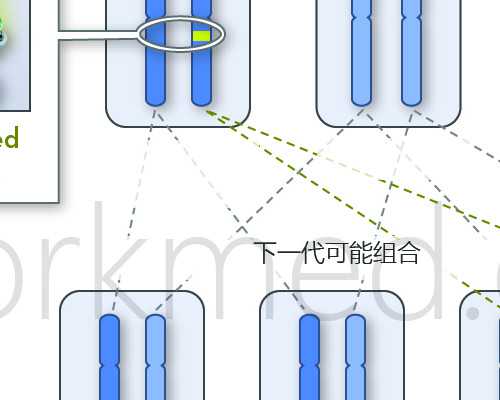 验血寄到香港怎么伪装_香港验血男孩却生了女孩？亲身经历详细攻略!
