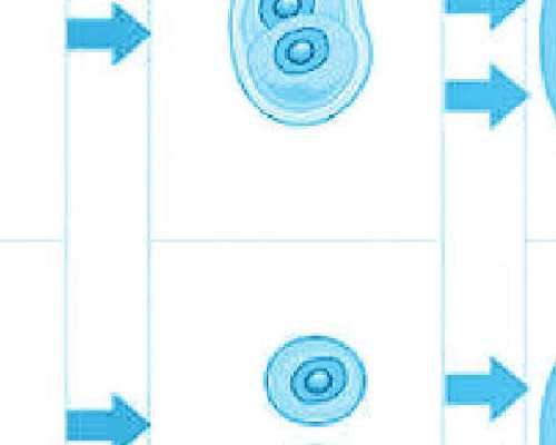 香港hklab验血准吗_香港哪些医院能做dna男女鉴定,测性别哪个诊所准