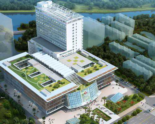 香港验血报告结果查询_香港medtimes验血报告_验血查男女的时间是多久!