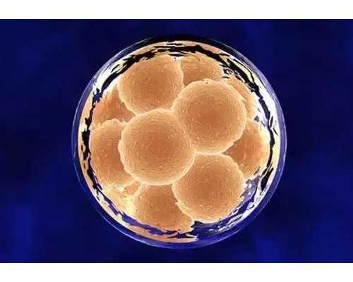 香港正规验血男女医院_香港采血邮寄测性别准吗？总结下香港鉴定性别攻略