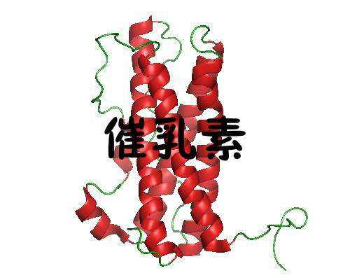 香港邮寄验血要注意什么,129运动黑板报资料有关12.9运动的手抄报，资料一份，