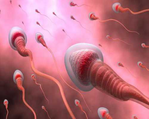 十大古玩电视剧_英国“临时出口禁令”失效  艺术品流出不受限制