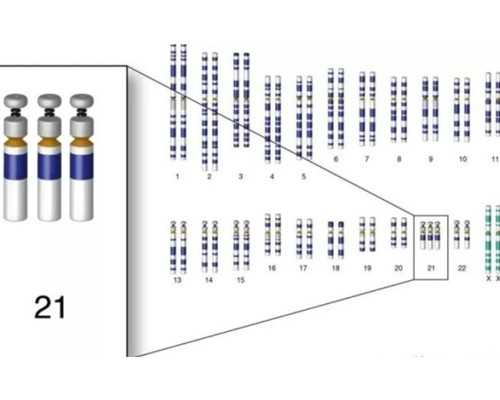 香港6周验血有心跳就可以吗_香港抽血验男女六周准_实例分享看完你还做吗!