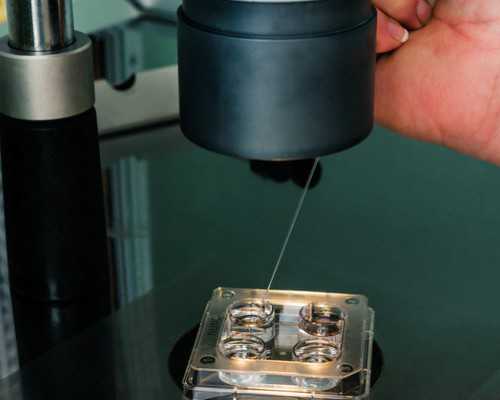 香港八周验血知男女,俄罗斯试管婴儿饮食攻略分享,饮食攻略赶快收藏