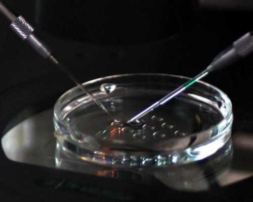 香港验血测男女要满足的条件_dna检测性别准确吗?多少周可以查性别