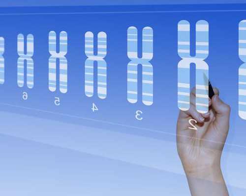 香港验血为什么要7周以上_怀孕什么时候能看出男女_dna胎儿性别邮寄可靠吗!