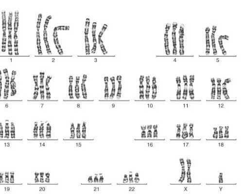 10周还能香港验血吗_寄血香港查男女康宁_验血查男女准确率多高