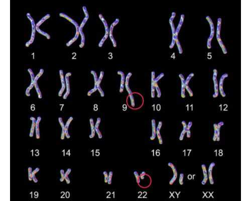 有香港验血回来不准的吗_香港验血测性别的医院，实例分享！看完你还做吗？