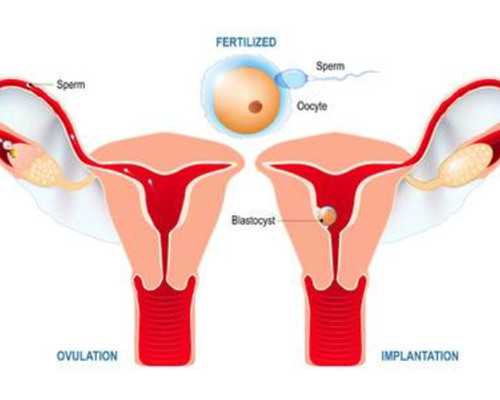 香港验血鉴定男女多久可以出结果_怎么寄快递香港验血_最权威的是哪家