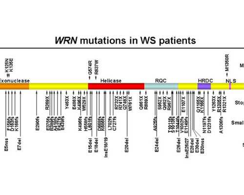 香港验血寄过去不放冰可以吗,国外借卵做试管费用大概要多少钱？费用10万够吗