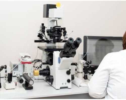 香港验血鉴定性别最早几周_香港6周验血有错的吗_胎儿性别检测真的准确吗