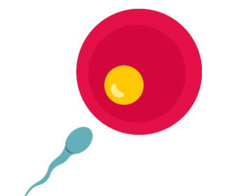 香港验血陈立志pg不准,经期子宫内膜厚度正常值是多少