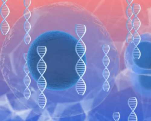 香港验血前几天同房有影响吗_香港查血验男女，我想说说!