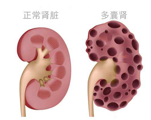 香港验血哪家机构好彩_国内除了香港还有哪里可以验血查性别_测性别哪家医院