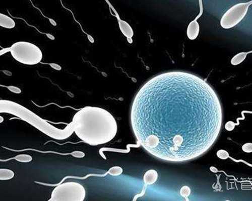 有不有找神婆算男女和香港验血的_香港抽血验男女多的钱_性别鉴定详细流程说