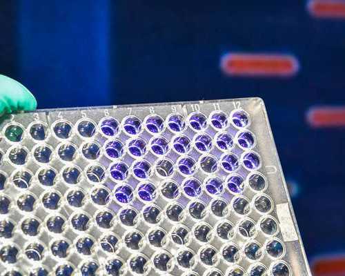 香港验血为什么一定要6周以后_关于家风 家规 家训的格言家风家训怎么写