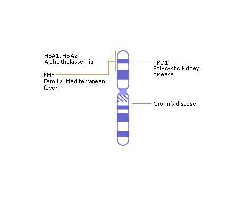 香港寄血验血报告单医院内部真假_香港医院预约查性别_验血查男女有科学依据
