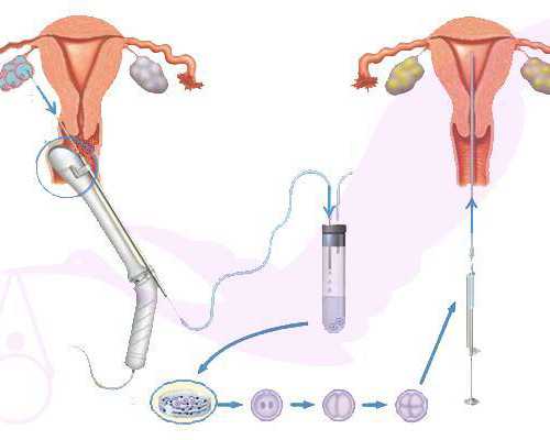古玩六大行规_杨义推新作《论语还原》 ＂以史解经＂考证《论语