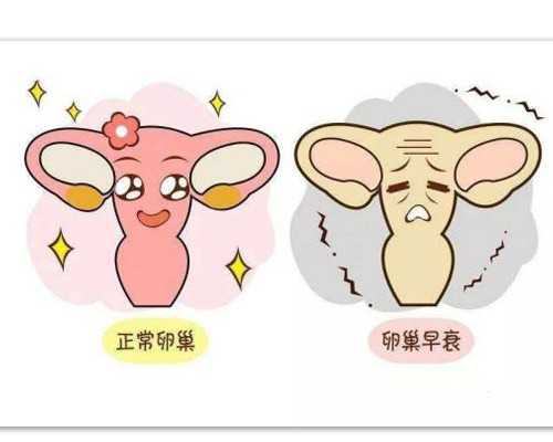 中国最大的古玩市场,喜欢吃辣会有多伤身