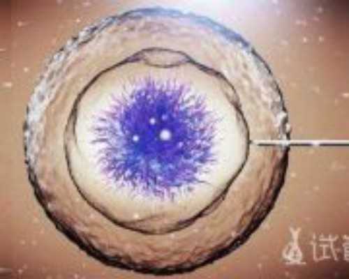 香港验血验男女结果有出错的不_香港验血多久能知道男女孩?最关键的流程都在