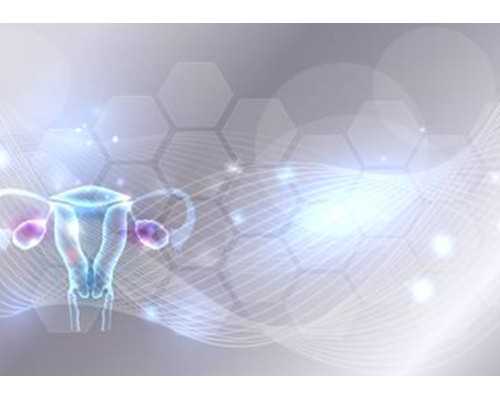 香港验血孕检报告单是什么样_香港验血鉴定男女？欢迎咨询