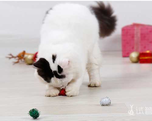 寄香港验血去门诊人家给抽血吗_抽血邮寄到香港测男女?让亲历者用事实来讲述