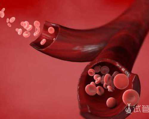 24周寄血香港验血查男女准不_香港验血男会翻盘吗？总结下香港鉴定性别攻略