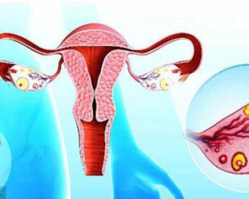 香港验血鉴定怎么邮寄_使君子该怎么养护？使君子的栽培技术